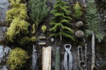Thumbnail for the post titled: Cedar, moss, and pine: iconic woody notes every hiker should know